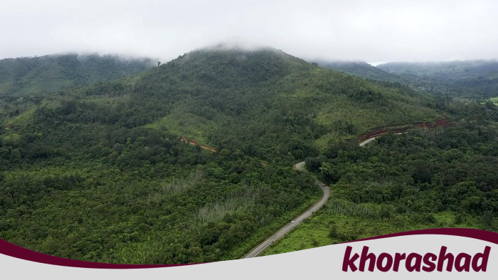 Menanti Jalan Ekonomi Hijau yang Demokratis: Navigasi Menuju Perubahan atau Kebuntuan?