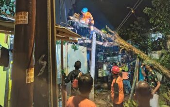 Hujan dan Angin Kencang, Pohon Tumbang Timpa Rumah-Tutup Jalan di Bogor – Update 1