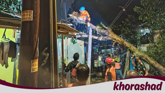 Hujan dan Angin Kencang, Pohon Tumbang Timpa Rumah-Tutup Jalan di Bogor - Update 1