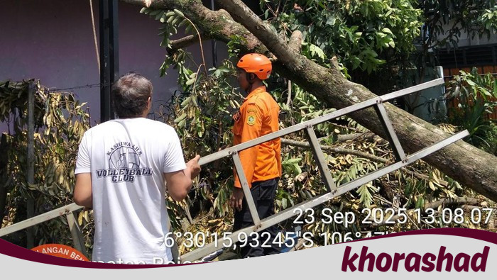 Angin Kencang dan Pohon Tumbang: 75 Rumah di Bojonggede Bogor Jadi Korban Bencana Alam