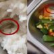 Heboh Ada Ulat di Menu MBG SMK Jambi, Kepsek Bilang Begini – Update 2