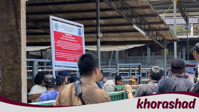 Skandal Ekologis Depok: Kandang dan Rumah Potong Hewan Diduga Cemari 2 Setu, Ditutup Paksa!