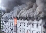 [Sikapi Kebakaran Hunian IKN, Pekerja Terpaksa Evakuasi Darurat]