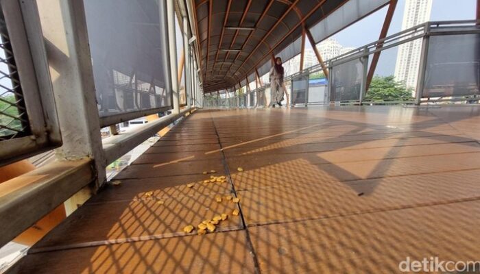 “Kebayoran Skywalk Terjangkit Banyak Kotoran Kucing, PSI Munculkan Usulan Lokasi Makan Khusus”