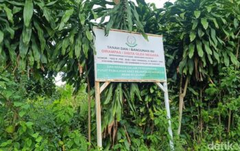 Krisis Tanah Meraja, Warga Sukamakmur Bogor Tegang karena Desa Dilelang!