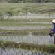 SPI Desak DPR Aksion Cepat Atasi Konflik Agraria, Segera Gandeng Serikat Petani!