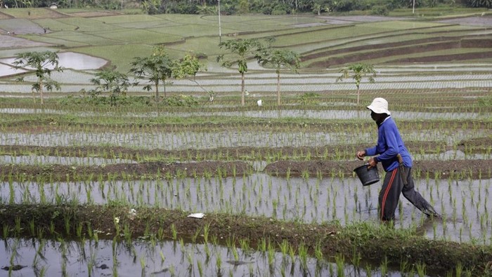SPI Desak DPR Aksion Cepat Atasi Konflik Agraria, Segera Gandeng Serikat Petani!