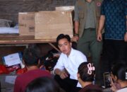 Ijazah Gibran Jadi Polemik, MDIS & PSI Bersuara: Cukup Sudah!