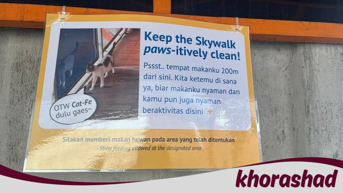 Jangan Sembarangan! Beri Makan Kucing di Skywalk Kebayoran Kini Ada Tempatnya, Wajib Diketahui!