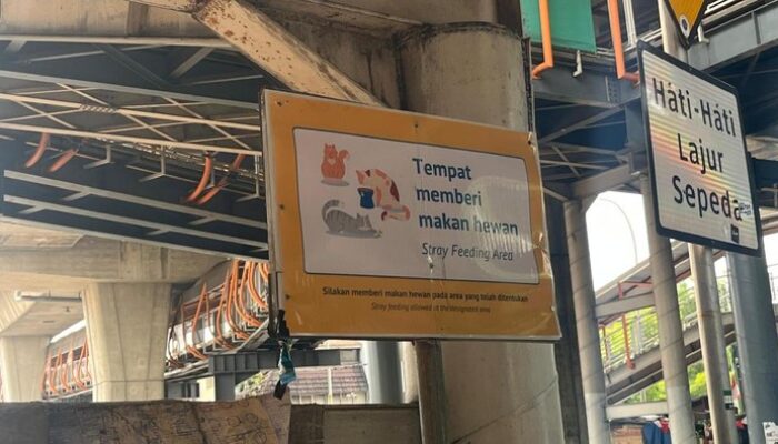 “Aksi Memberi Makan Kucing di Halte Velbak, Fenomena Baru di Jaksel”
