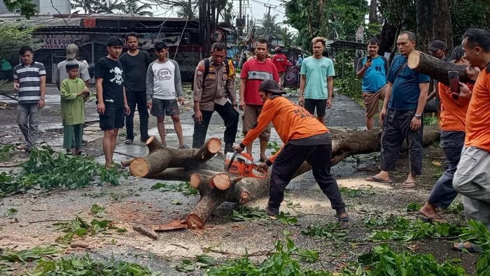 **Hujan Deras di Depok, Pohon Tumbang dan Lalin Terhambat di Limo**