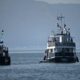 Warga Brasil-Meksiko Aktivis Global Sumud Flotilla Pulang Usai Ditahan Israel, Cerita Ketegangan di Laut (Bersahutan dengan Konflik Internasional Terkini)
