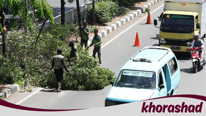 Pemprov Jakarta Pangkas 55 Ribu Pohon Rawan Tumbang, antisipasi Musim Hujan 2025