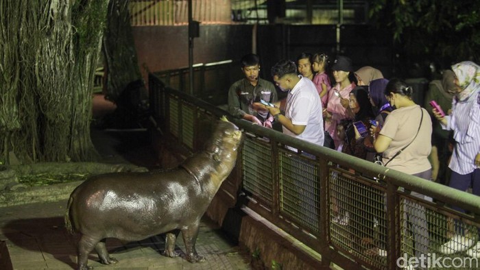 2.299 Warga Antusias Kunjungi Wisata Malam Ragunan Hari Ini - Update 2