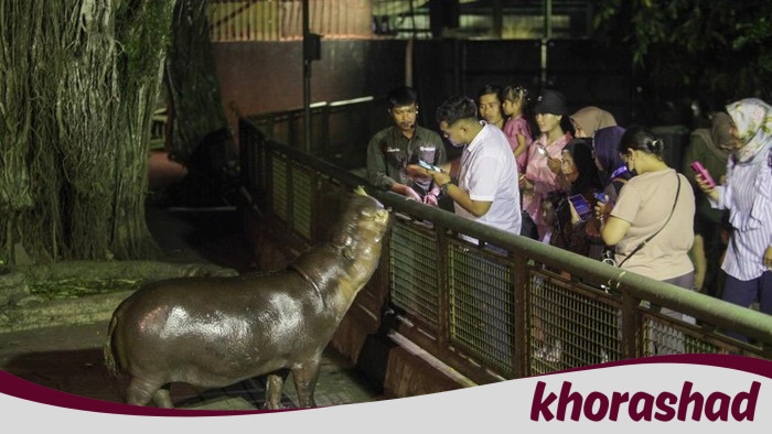 2.299 Warga Antusias Kunjungi Wisata Malam Ragunan Hari Ini - Update 1