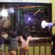Malam Ragunan Diprotes, Pengelola Janji Evaluasi!