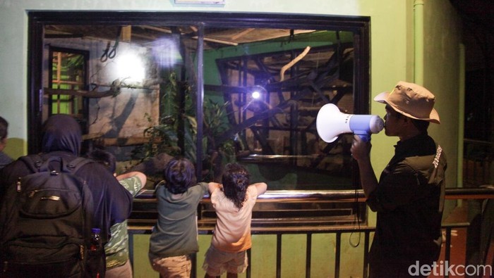 Malam Ragunan Diprotes, Pengelola Janji Evaluasi!