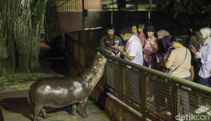 Malam Ragunan Menyisakan Ketidakpuasan, Pemprov Jakarta Berjuang untuk Solusi