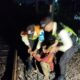 Curi Kabel Rel KA, Pria di Bekasi Ancam Keselamatan Penumpang!