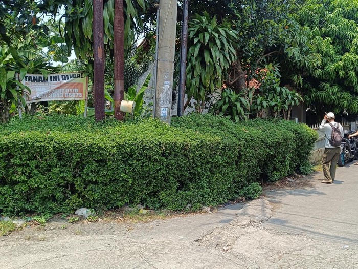 Tragedi Asmara di Bogor: Tawuran Membunuh Seorang Pria di Cibinong, Siapa Pelakunya?
