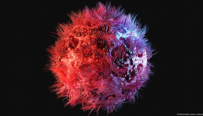 “Revolution HIV: Temuan Baru dari Jerman Menjanjikan Harapan Baru”