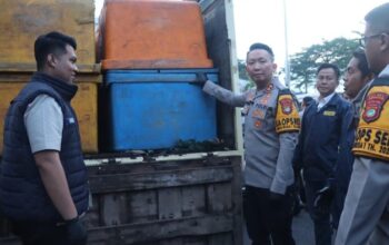Dari Truk Mencurigakan di Tangerang, Terungkap Benih Lobster Ilegal!