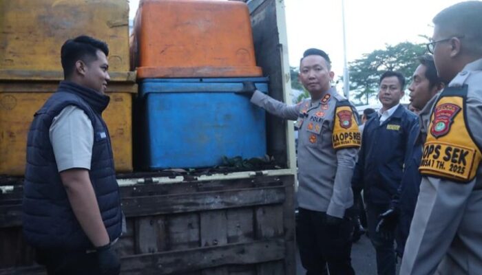 Dari Truk Mencurigakan di Tangerang, Terungkap Benih Lobster Ilegal!