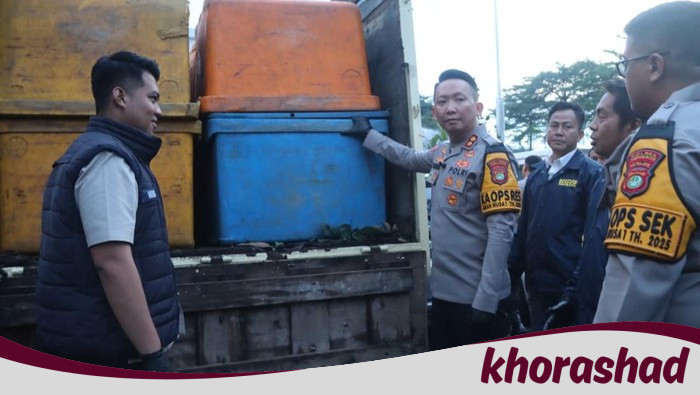 Dari Truk Mencurigakan di Tangerang, Terungkap Benih Lobster Ilegal!