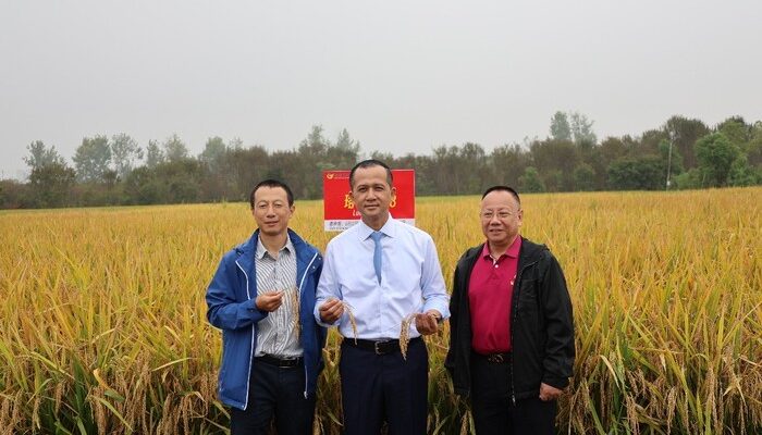 “Wuhan Berambisi Kembangkan Kawasan Transmigran, Kementrans Pastikan!”