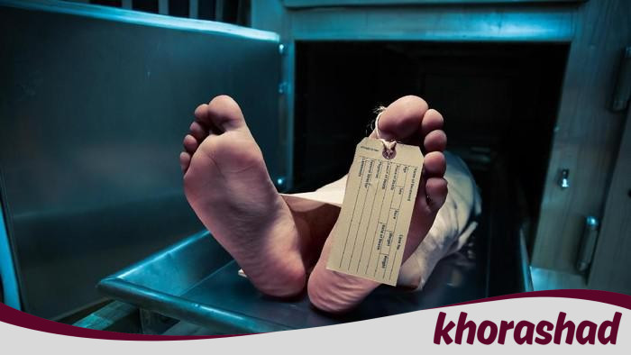 Waspadalah! Detik-detik Mengerikan Kematian Pekerja Bangunan di Bogor Akibat Tembok Penahan Tanah