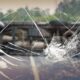 Tragedi Bus Brasil: 15 Nyawa Hilang karena Sopir Hilang Kendali