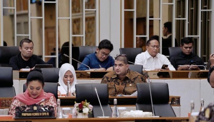 Kinerja Baik Raja Juli, Rajiv: Sinergi Komisi IV & Pemerintah Berhasil