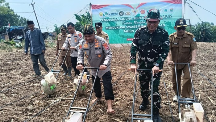 Polres Serang Dukung Ketahanan Pangan dengan 471 Hektare Jagung