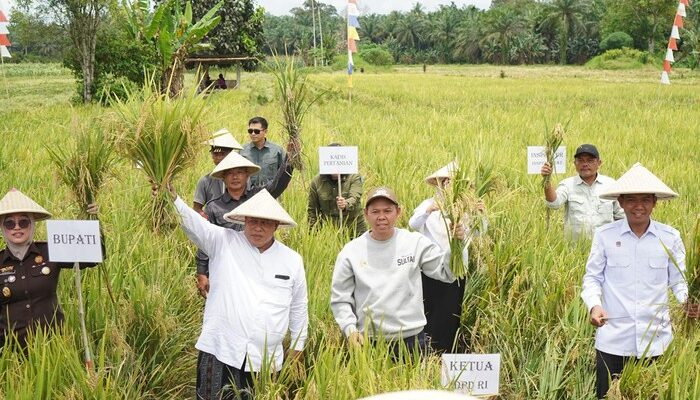Sultan Serahkan Alsintan dan Benih Jagung untuk Petani di Mukomuko – Update 2
