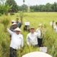 Sultan Serahkan Alsintan dan Benih Jagung untuk Petani di Mukomuko – Update 2