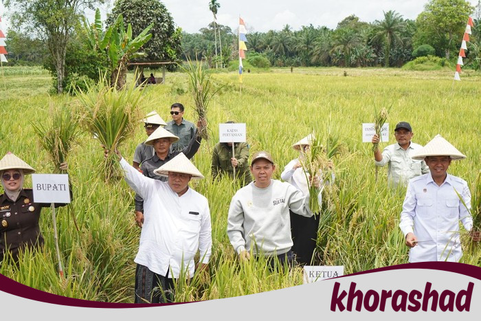 Sultan Serahkan Alsintan dan Benih Jagung untuk Petani di Mukomuko - Update 2