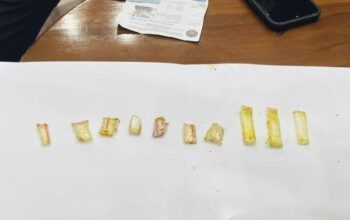 Ayam Kecap Menjadi Perangkap, Lapas Narkotika Jakarta Gagalkan Penyelundupan Sabu