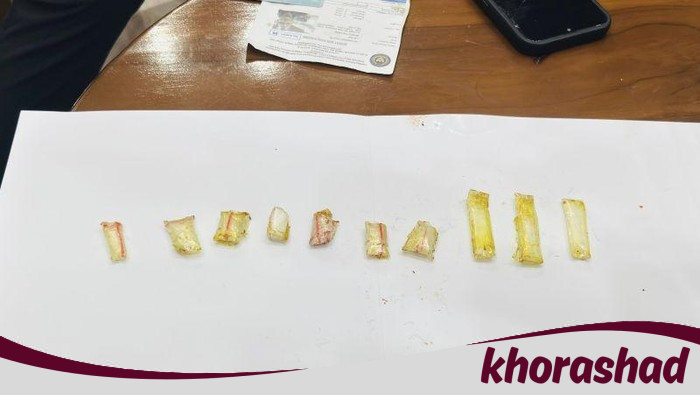Ayam Kecap Menjadi Perangkap, Lapas Narkotika Jakarta Gagalkan Penyelundupan Sabu