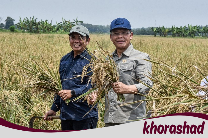 Harga Pupuk Turun, Mardiono Ingatkan Pengawasan agar Tepat Sasaran - Update 2