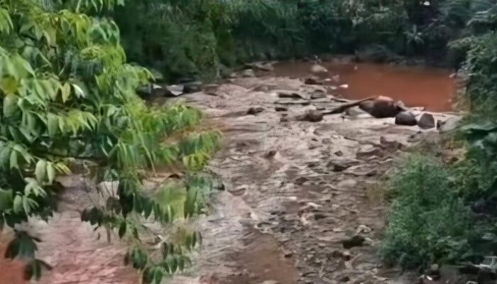 Air Sungai Cipakancilan Berubah Merah, Dinas LH Cari Penyebabnya