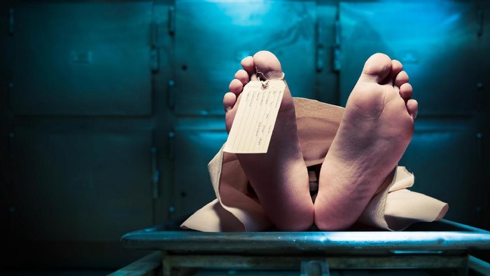 **48 Kantong Misteri: Tragedi Horor Meksiko yang Mengguncang Dunia**
