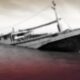 Kapal Angkut Pengungsi Tenggelam di Pantai Turki, 14 Orang Tewas dalam Tragedi Menohok