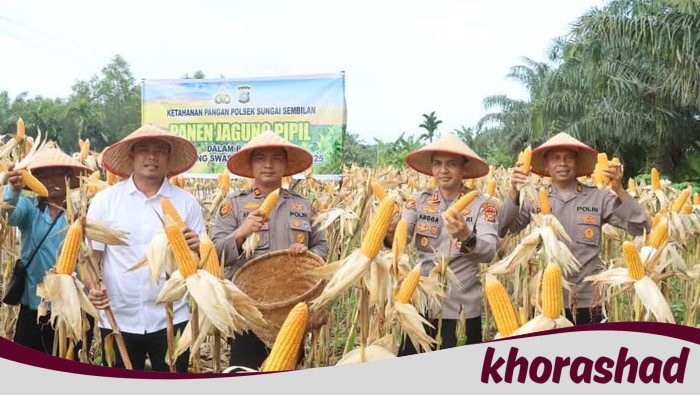 1 Ton Jagung Pipil dari Polres Dumai, Tanggapan atas Krisis Pangan di Indonesia!