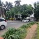 **Detik-detik Pohon Tumbang di Pondok Indah Timpa Lexus, Tragedi yang Menghancurkan Hidup**