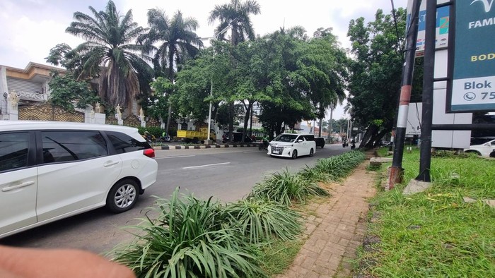 **Detik-detik Pohon Tumbang di Pondok Indah Timpa Lexus, Tragedi yang Menghancurkan Hidup**