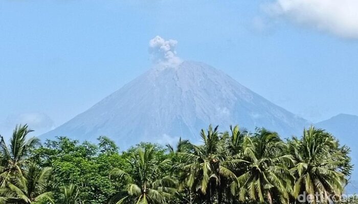 **124 Letusan Semeru dalam 24 Jam, Warga Dijauhkan 8 Km dari Gunung**