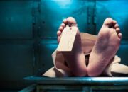 KRL di Bogor Tewaskan Wanita dari Lampung, Ini Fakta Mengejutkan di Balik Tragedi