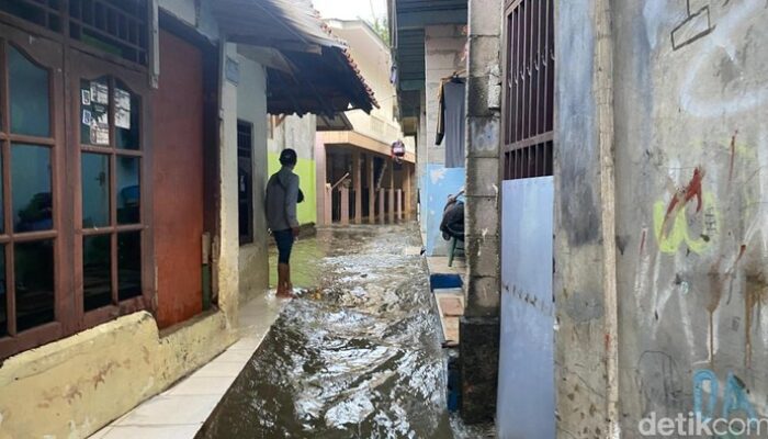 Tanggul Baswedan Jebol, 10 RT di Jati Padang Terendam Banjir, 2 Rumah Rusak: Bencana yang Tak Terduga