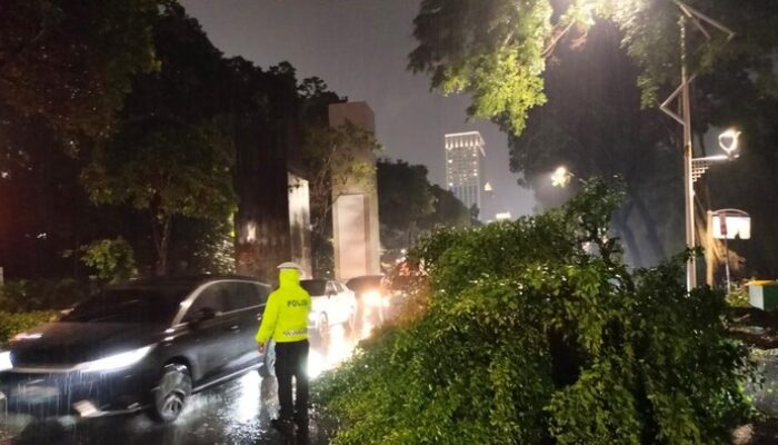 Pohon Tumbang Depan GBK Arena, Hati-Hati! Lalin Tersendat