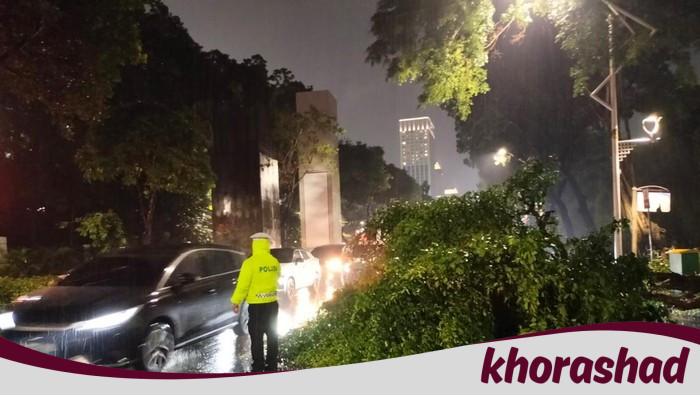 Pohon Tumbang Depan GBK Arena, Hati-Hati! Lalin Tersendat